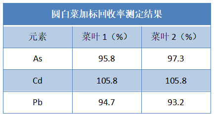 圓白菜加標回收率測定結果